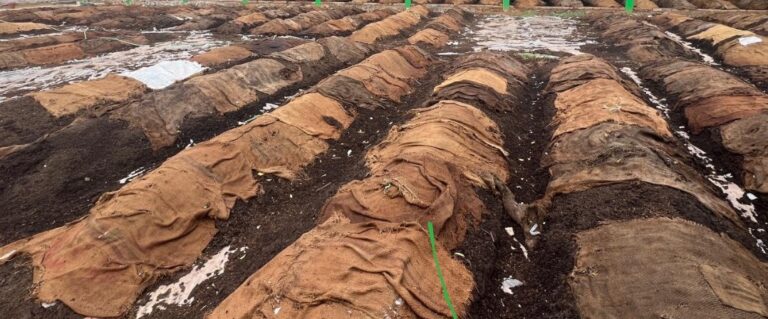 Vermi compost: वर्मी कंपोस्ट के लिये कृषकों को मिल रहा 50 हजार का अनुदान