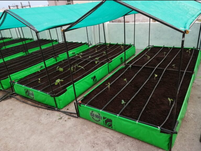 Jaipur News: छतों पर सब्ज़ी की खेती करने पर 70 प्रतिशत का मिलेगा अनुदान