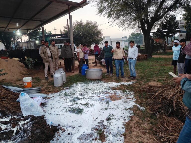 Rajasthan News: चौमू के चीथवाड़ी में नकली मावा और दूध इकाइयों पर बड़ी कार्रवाई