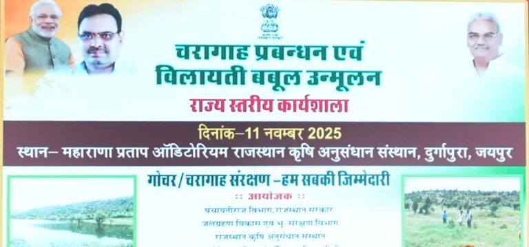 Rajasthan News: प्रदेश में शीघ्र शुरू होगी विलायती बबूल हटाने की प्रक्रिया -पंचायती राज मंत्री